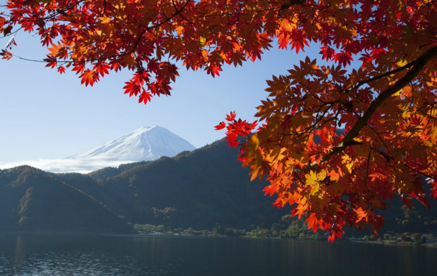 1496884355334085.jpg 3_meitu_3.jpg